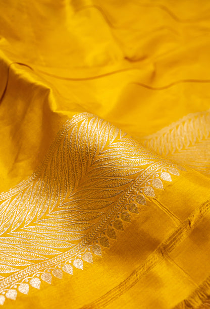 Mustard Yellow Jaal Handwoven Pure Katan Silk Banarasi Saree